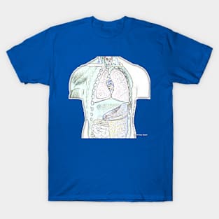 Mr. Guts: Anatomical Model Torso Art T-Shirt